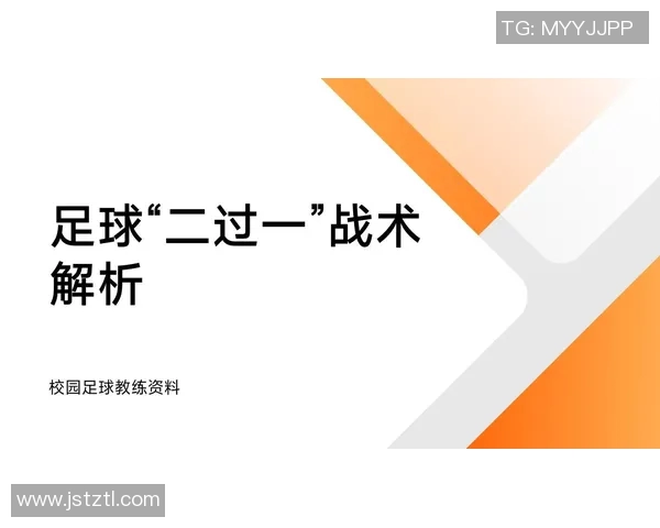 上海排球队阵地战体系解析与战术创新研究